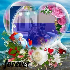 Meet your Posher, Graziella